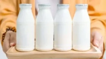 تفاوت أسعار الألبان والبيض والشاي والبقوليات في أسواق محافظة سوهاج اليوم